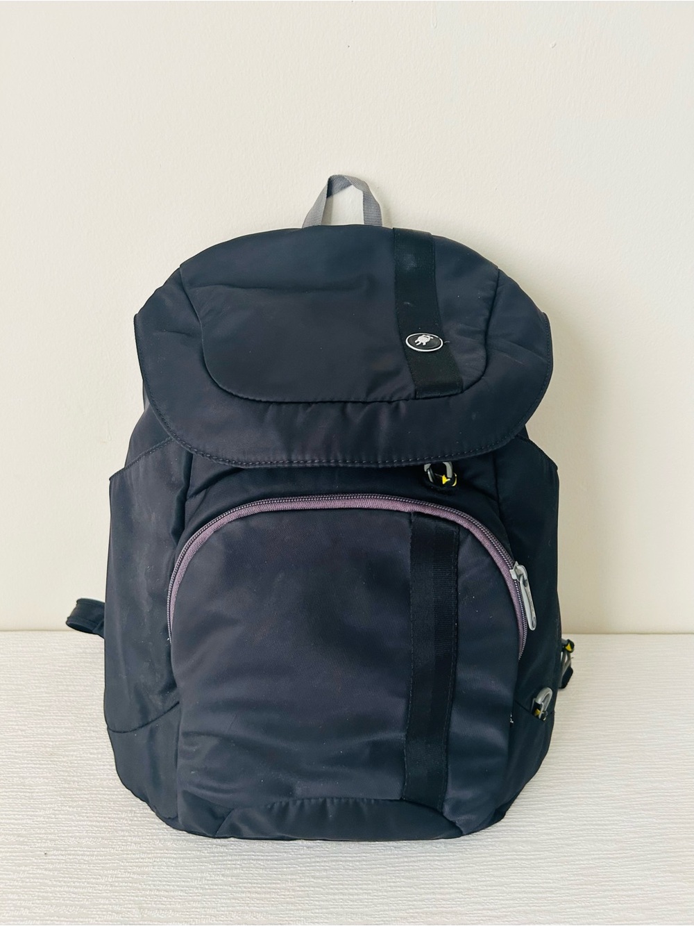 Pacsafe Anit-Theft Slingsafe 300 Carry On Travel RFID Backpack